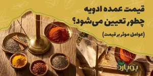 قیمت عمده ادویه چطور تعیین می‌شود؟ (عوامل موثر بر قیمت)