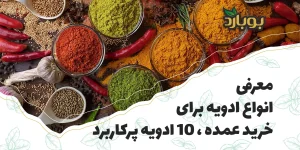 معرفی انواع ادویه برای خرید عمده ، سایت خرید ادویه بوبارد