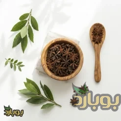 بادیان ستاره ای کامل و قلم برای خرید بادیان عمده