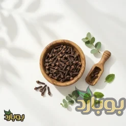 میخک درشت کامل قلم بوبارد برای خرید عمده