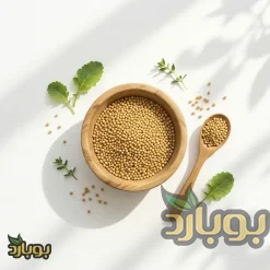 دانه خردل زرد بوبارد برای خرید خردل عمده