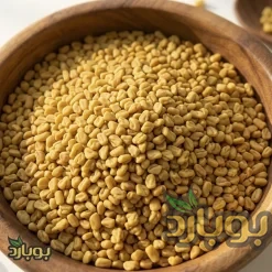 دانه کامل تخم شنبلیله بوجاری شده ، خرید عمده ادویه