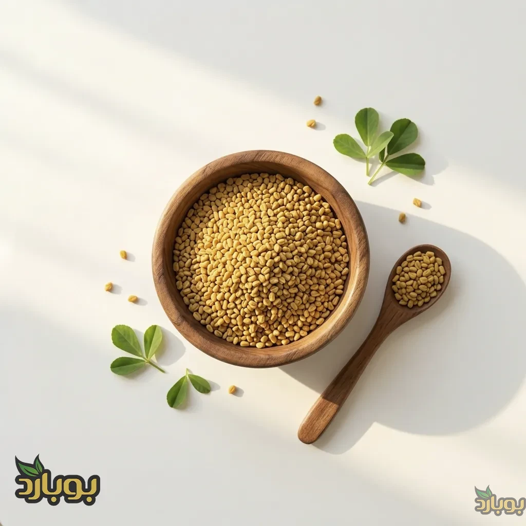 قیمت عمده تخم شنبیله ، تخم شنبلیله کیلویی